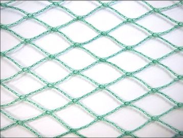Agricultural Diamond Anti Bird Netting For Protecting Crop And Flower